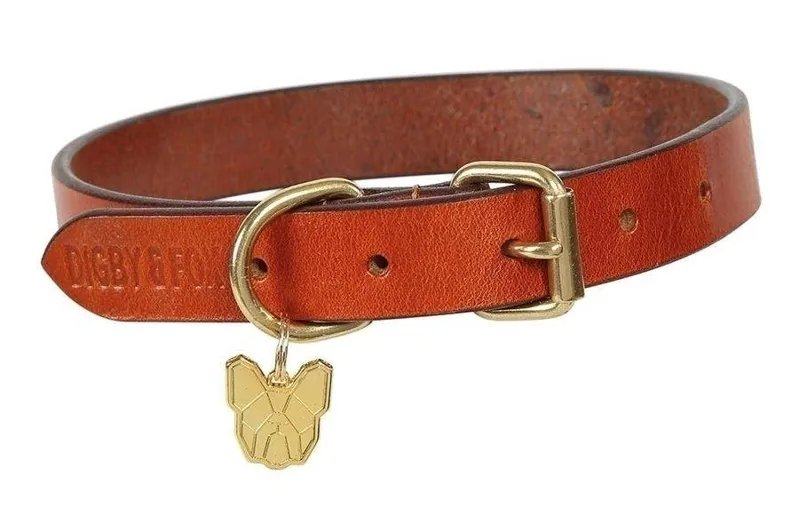 Digby and Fox Flat Leather Dog Collar in Tan